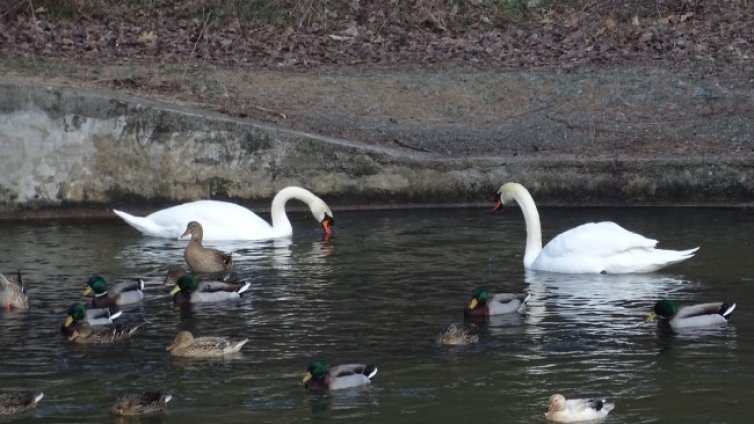 Нахлува студен въздух, на много места в страната ще вали 
