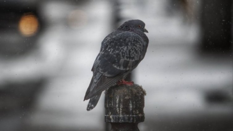 Седмицата започва с облаци, но и южен вятър, градусите до 10&deg;