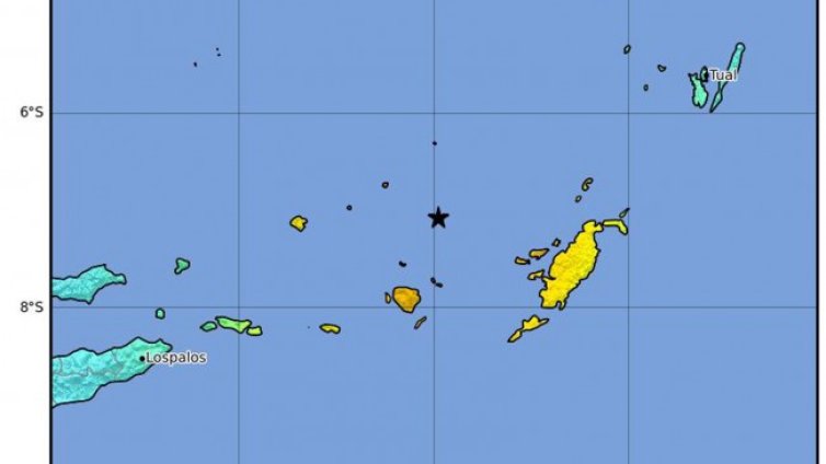 Четирима загинаха при земетресение в Индонезия