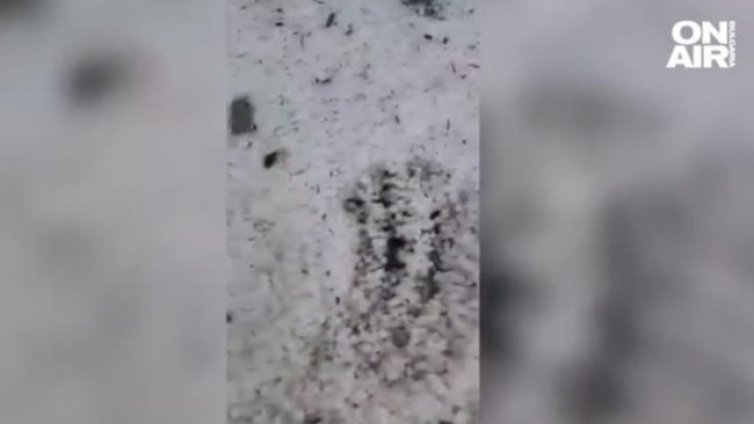 Градушка в части от България