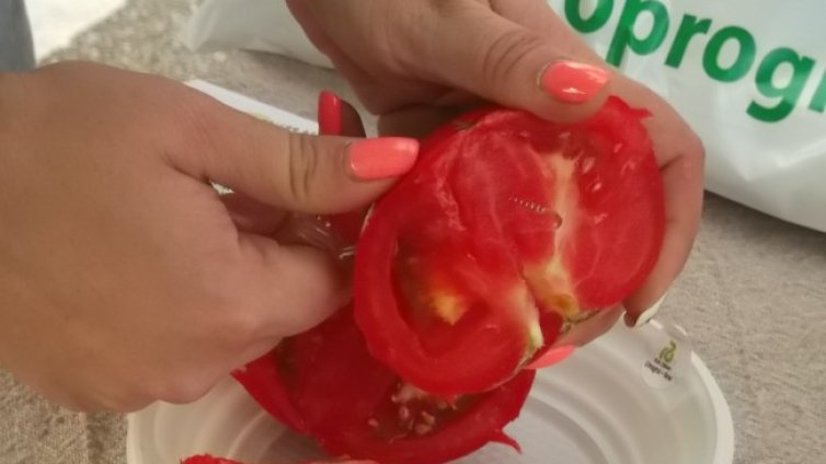 26 лева струва килото домати в Румъния