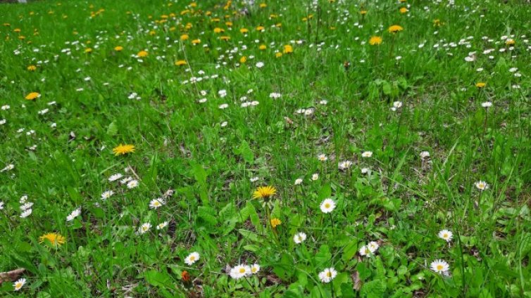 Времето в четвъртък остава облачно, градусите &ndash; до 19&deg;