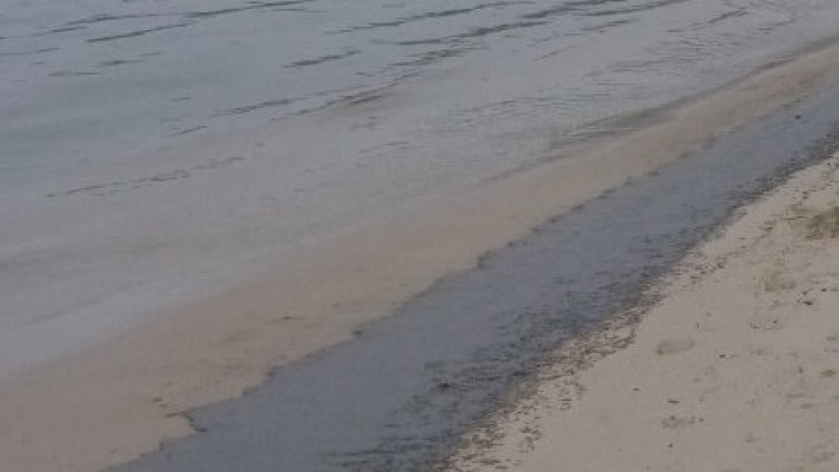 РИОСВ-Бургас: Плажната ивица "Северна Коса" в Поморие е почистена от мазут