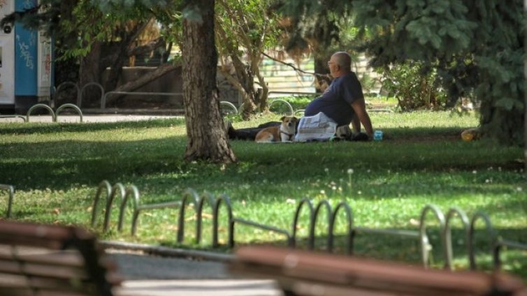 Жега и пек и във вторник, градусите до 40&deg;