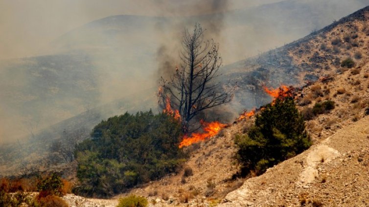 Турция се бори с опустошителни пожари, хектари земя горят в Албания