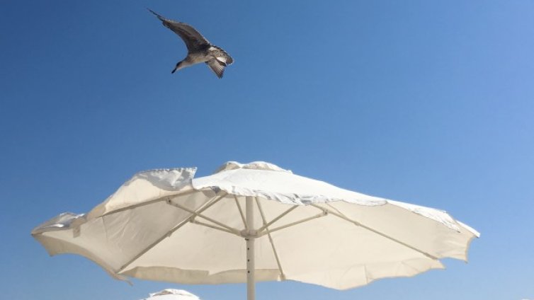 Слънчево с температури 30&deg; - 35&deg; ще е днес