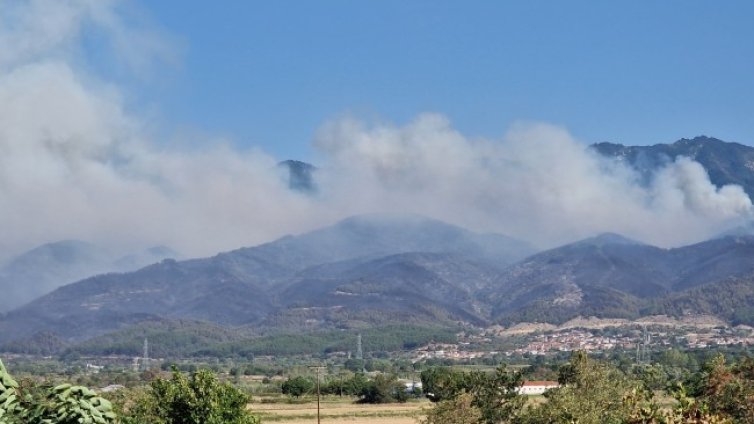 Десетки огромни пожари в Гърция