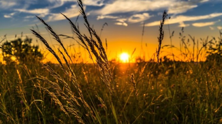 Слънчево и горещо и днес, градусите до 36&deg;