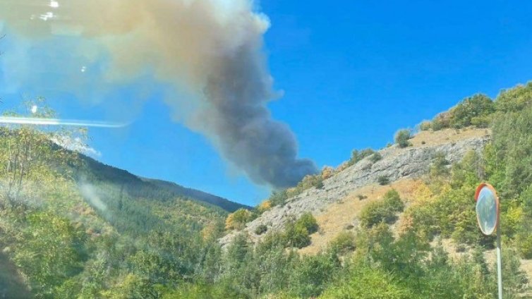 Голям пожар между село Хвойна и Чудните мостове