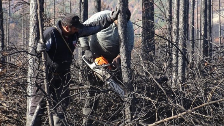 Проучване: 43 на сто от ромите у нас работят
