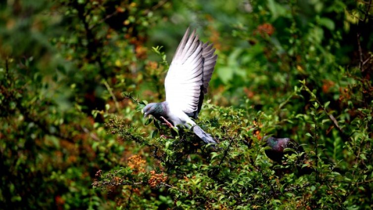 Слънчев и топъл уикенд, градусите до 29&deg;