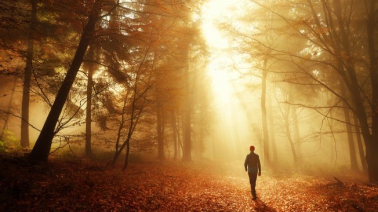 Седмичен хороскоп &ndash; какво да очаквате според зодията