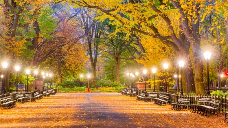 Седмичен хороскоп &ndash; какво да очаква всяка зодия?