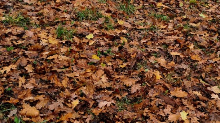 Утре ще е по-топло, с температури 19&deg; и 24&deg;, в София - 20&deg;