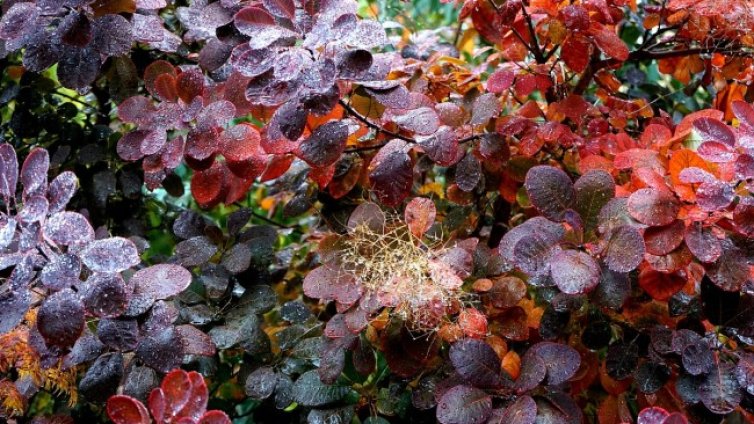 От -4&deg;C  до 26&deg;C  през ноември, месецът ще е по-топъл от обичайното  