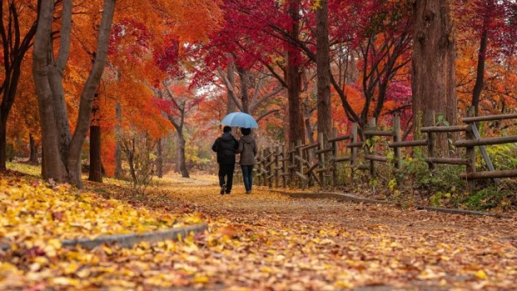 Леко захлаждане от утре, западен вятър носи студен въздух 