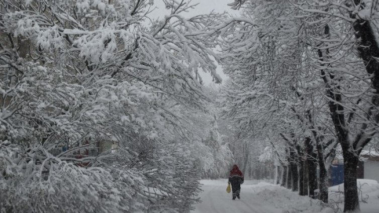 Министър Цеков: Институциите работят в синхрон за справяне със зимната обстановка 