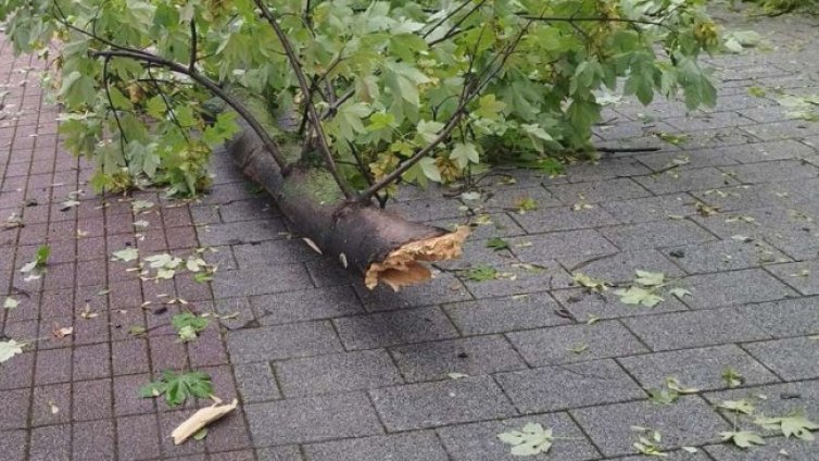 Ураганен вятър със скорост до 144 км/час връхлетя Русе