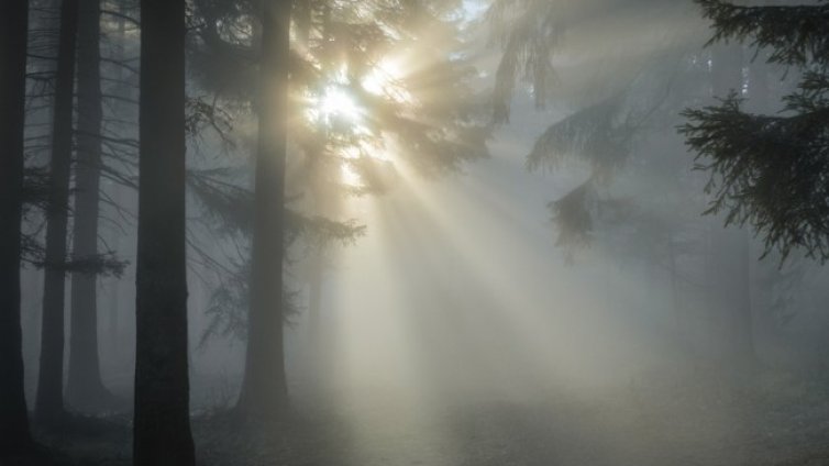 Слънчево и топло, до 15 градуса