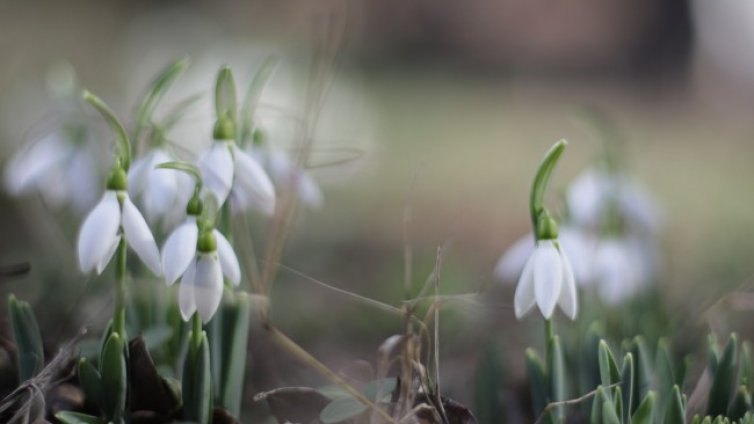 Топло, облачно, с температури до 22&deg; градуса ще е утре