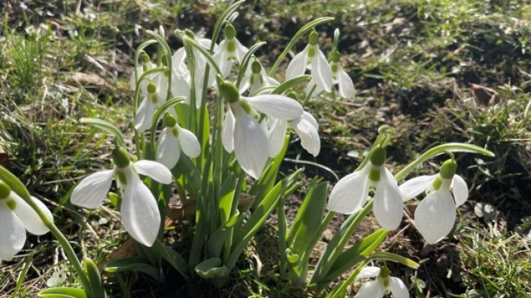 Времето днес: Слънце, облаци, на места и дъжд