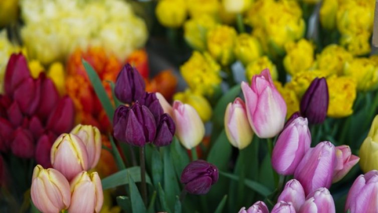 Слънчево време в сряда, градусите достигат до 19&deg;