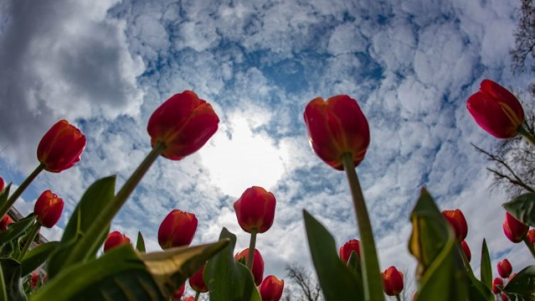 Времето: Облачно, валежи от дъжд на много места