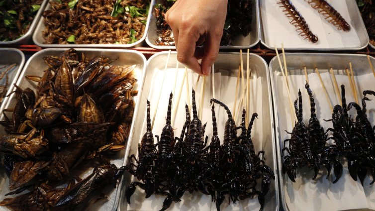 Насекомите навлизат и в гръцкото меню