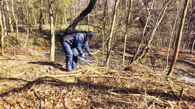 Терзиев: Столична община започва възстановяване на езерата в Южния парк