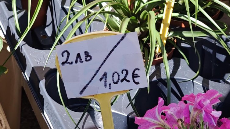 КЗП погна всички, които не предоставят информация за цените си в евро