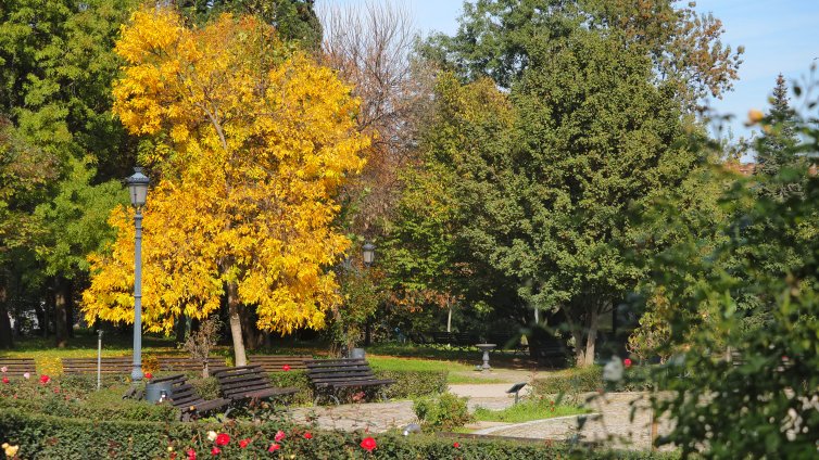 Очаква ни слънчев уикенд, утре градусите до 24