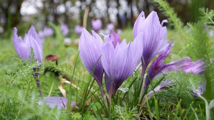 Облачно и дъждовно време в сряда