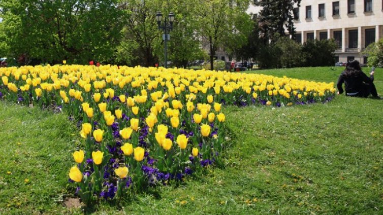 Слънчево и тихо в събота, температурите до 17 градуса