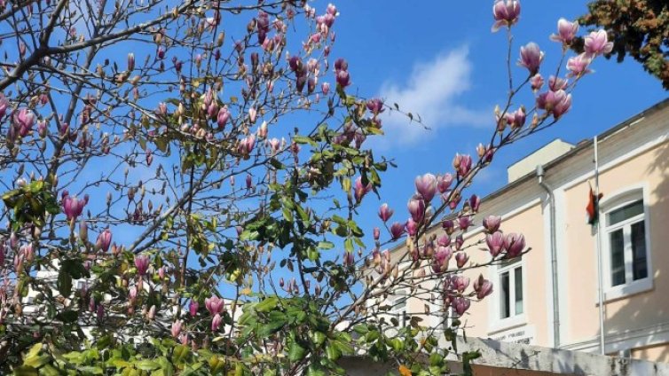 Пролетта идва със слънчево време, градусите достигат до 15°