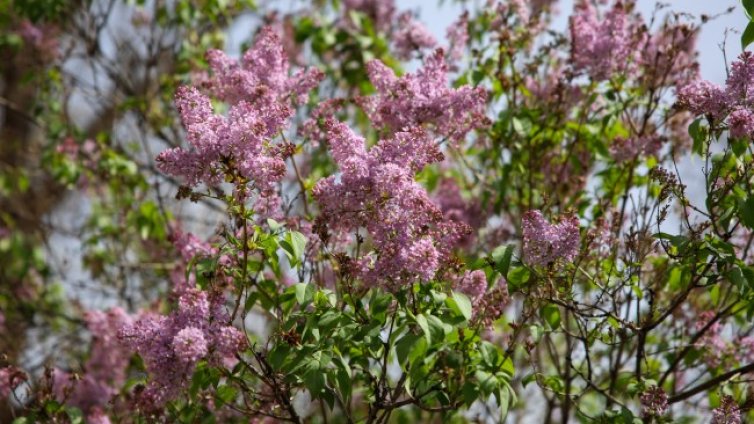 Слънчево и горещо в сряда, градусите до 28&deg;