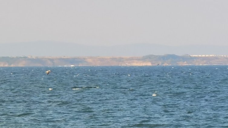  Слънчево и горещо ще е днес, температурите ще са до 37&deg;