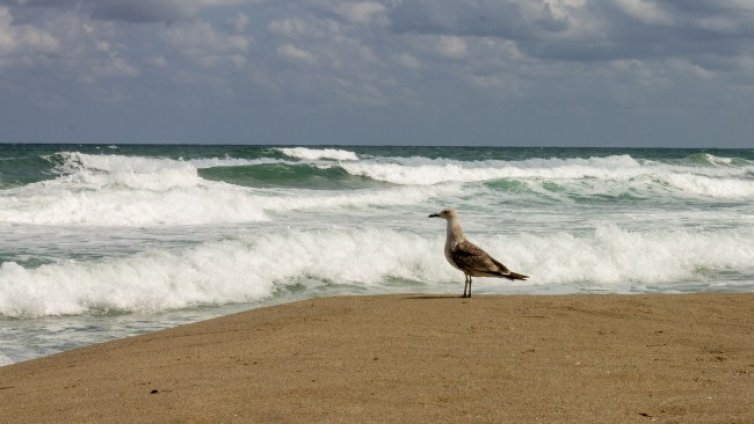 Слънчево и топло време в събота, градусите до 25&deg;