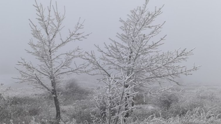 ПСС: Ураганен вятър и мъгли има по планините