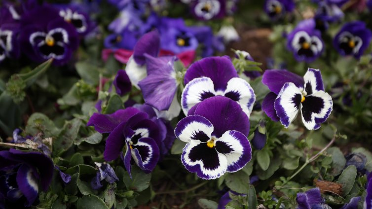 Облачно с валежи от дъжд на много места ще е утре