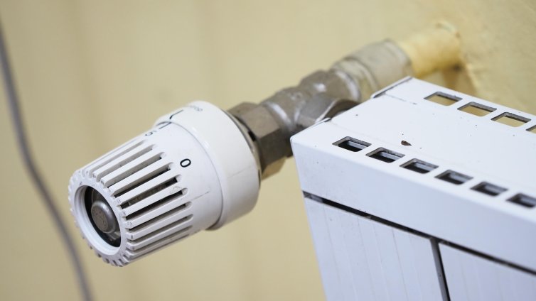 “Евростат” за БГ жилищата: Студени, пренаселени, скъпи