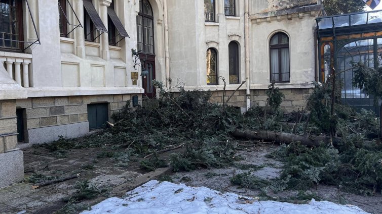 Държавната машина се задвижи след алармата на Симеон Сакскобургготски за парк "Врана"