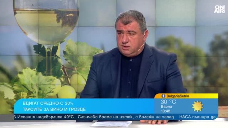 Има ли криза в консумацията на вино? Младите предпочитат бирата