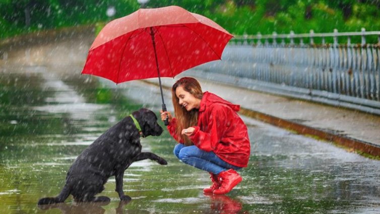 Днес облачно и по-топло, привечер идва дъждът