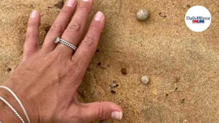 Мистериозни топчета се появяват на източните брегове на Австралия 