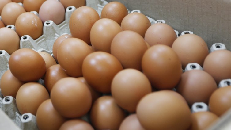 БАБХ задържа птиче месо и яйца без документи на "Капитан Андреево"