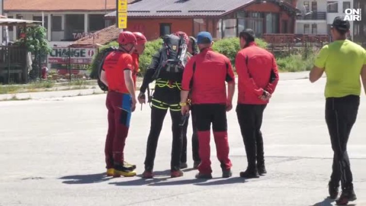Кучешки лай помогнал в търсенето на изчезналата Живка
