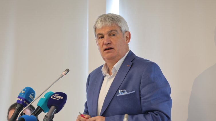 Референдумът за еврото е закъснял, президентът създава само хаос