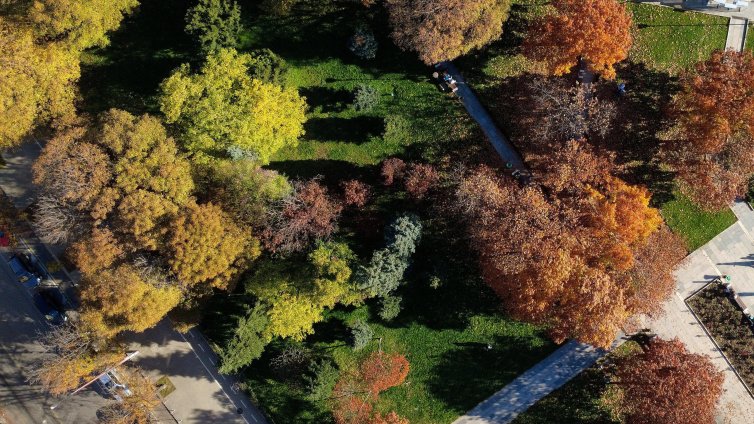 Времето: Сутринта мъгли, но следобеда ще е слънчев