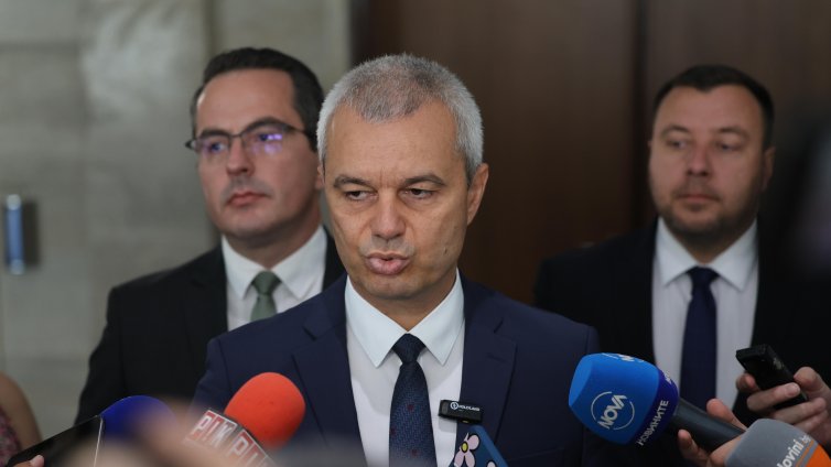 Костадинов: Българската държава саботира борбата с пожарите