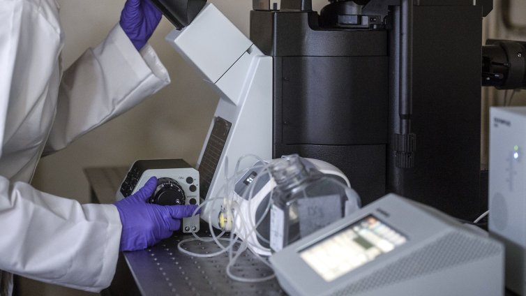 Япония частично одобри първото в света лекарство за лечение на Паркинсон